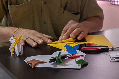 Origami ajuda a transformar a vida de homem que vivia em situação de rua