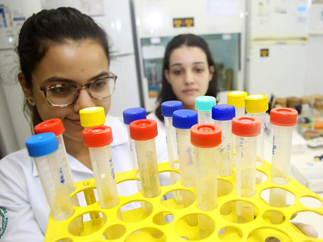 Universidades estaduais intensificam pesquisas sobre o coronavírus