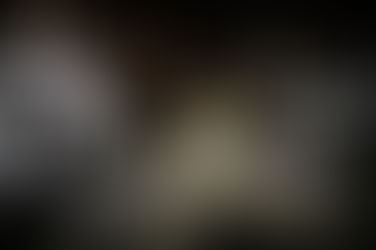 Em dois dias, Prefeitura já limpou 103 estações-tubo e 58 pontos de ônibus