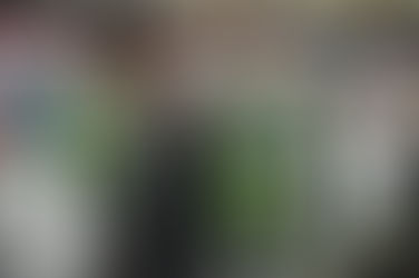 Pandemia fez transporte coletivo perder quase 100 mi de passageiros em um ano