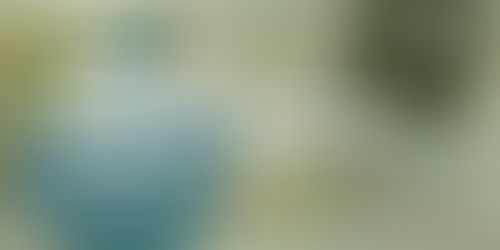 Vale do Pinhão promove quatro capacitações on-line nesta semana