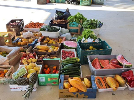Feirantes doam 1,4 tonelada de hortifrútis na primeira semana de apoio