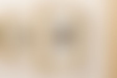 Mostra fotográfica terá visitas guiadas neste fim de semana