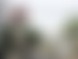 Talões de papel do EstaR deixam de ser aceitos a partir de segunda-feira