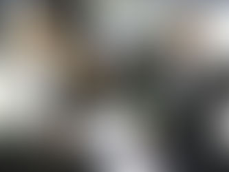 Curitiba pleiteia coordenação da rede brasileira