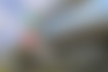 Nesta semana, atendimento é feito por telefone e pela internet