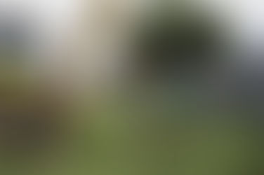 Mutirão de limpeza retira 41 toneladas de entulho em ruas às margens do Rio Belém