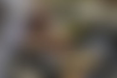 Atividade econômica cai 28,8% no Paraná entre março e abril