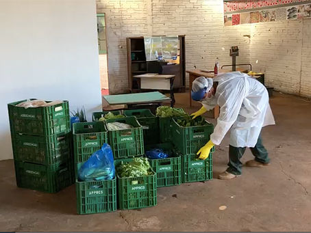 Agricultores adotam medidas de segurança