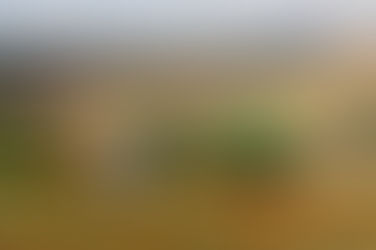 Safra de grãos do Paraná deve atingir 41 milhões de toneladas