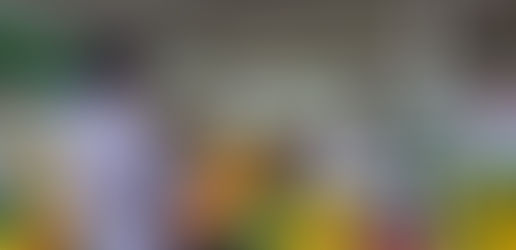 LIBERAÇÃO DAS FEIRAS-LIVRES