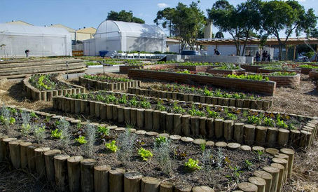 Fazenda Urbana retoma visitas guiadas
