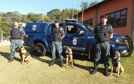 Guarda Municipal treina cinco filhotes para ajudar no trabalho da corporação
