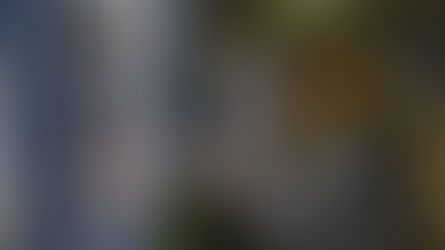 Tire dúvidas sobre o projeto de segurança alimentar para população carente