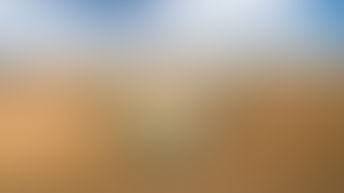 Estimativa de junho prevê safra recorde de 247,4 milhões de toneladas