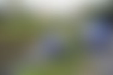 Moradores das regiões do Rio Belém aprendem sobre limpeza urbana e separação de lixo