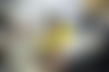 CURITIBA GARANTE DIGNIDADE À MESA E ALOJAMENTO DE QUALIDADE HÁ QUEM MAIS PRECISA