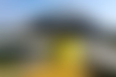 MON promove encontro virtual na 19ª Semana Nacional de Museus