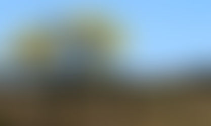 De 2000 a 2018, Brasil perdeu 7,6% de suas florestas diz IBGE