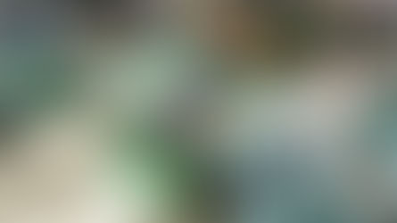 Feira de orgânicos volta ao Passeio Público no sábado