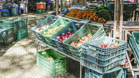 Feira de orgânicos volta ao Passeio Público no sábado