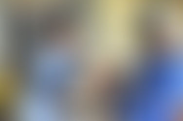 No Paraná, 15 mil animais domésticos serão castrados