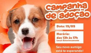 Final de semana terá adoção de pets em shopping de Curitiba