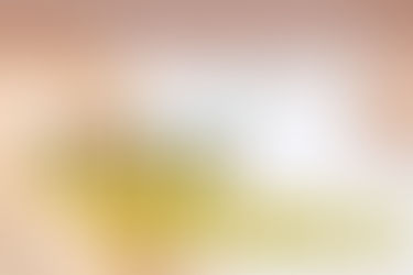 Saúde registra mais 74 mortes de macacos por febre amarela