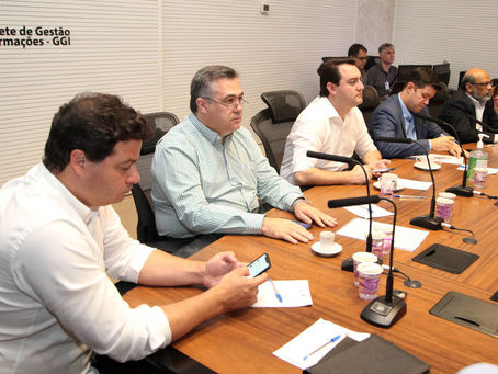 Governadores do Sul e Sudeste debatem impactos da pandemia