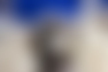 Agendamentos para castrações de outubro abrem nesta quarta-feira