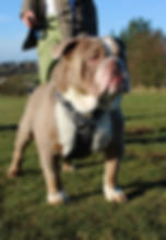 IMG_20231125_173812_740