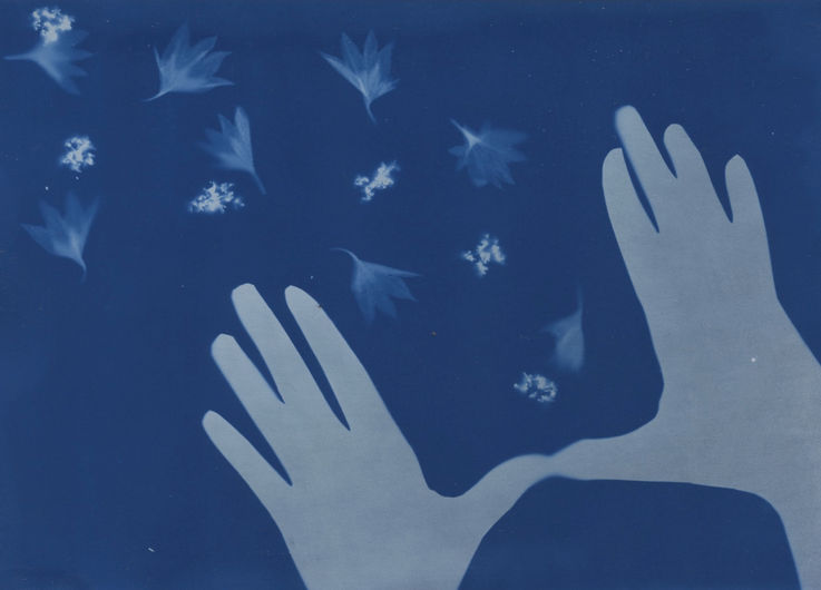 cyanotype