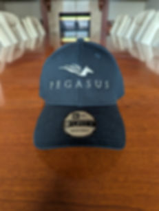 Pegasus Hat