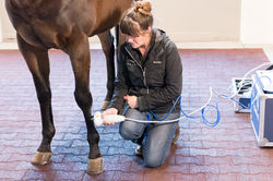 Shockwave Therapy