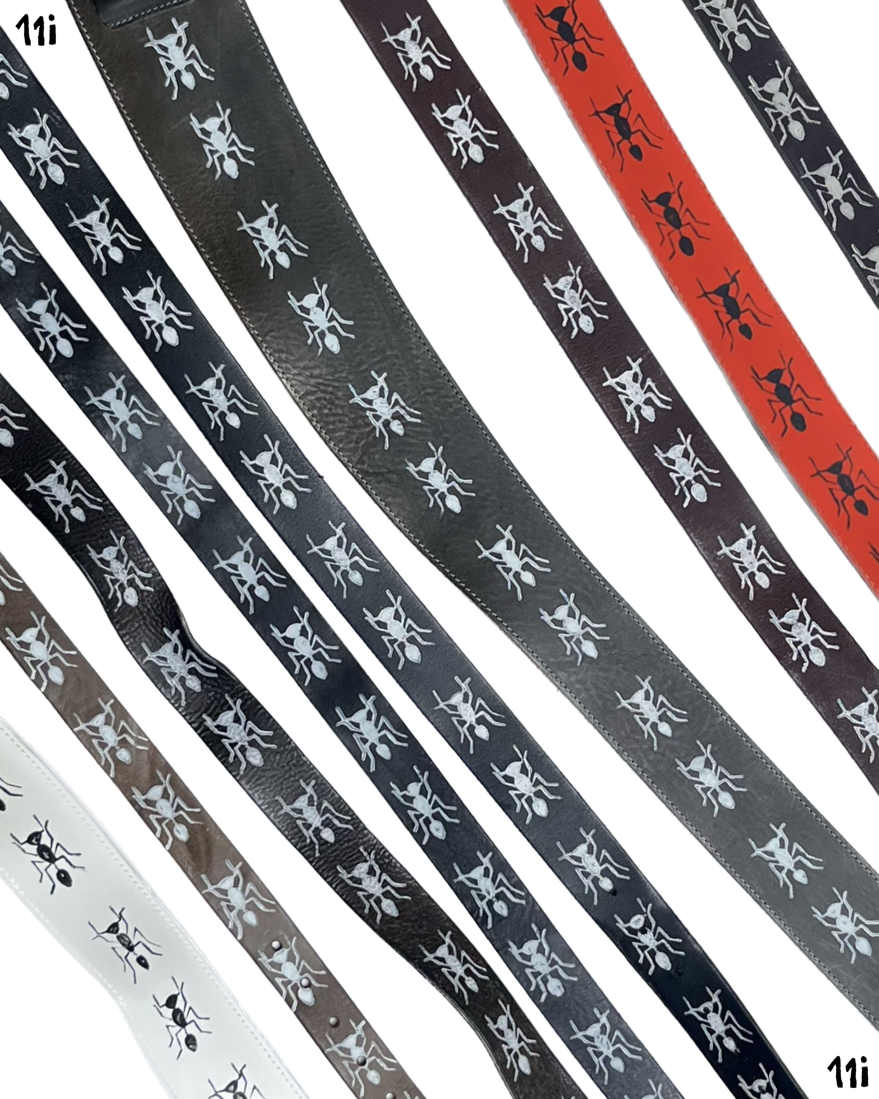 ANTS belts