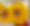 6AFA4FAB-8BBF-4E4F-9C90-8DDC317768BE_1_201_a.heic
