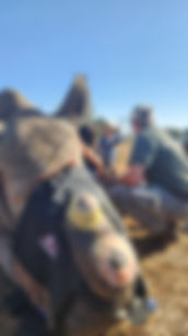 20240727_095924.jpg