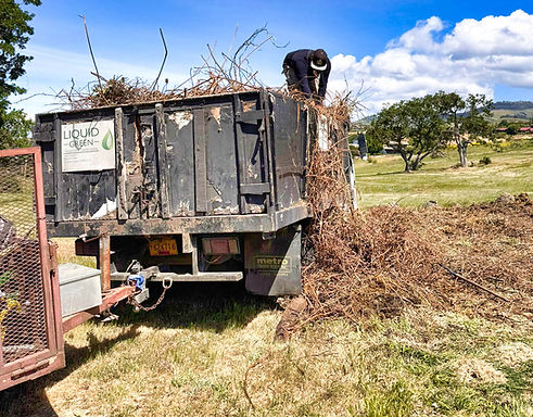 WhatsApp Image 2025-06-26 at 17.01.37_0878f556.jpg