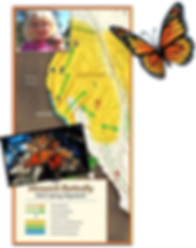 Fall & Spring Migrations md.png