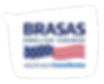BS_logos_RGB_balao1_neg1 (5).png