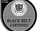 SIx Sigma Black Belt.png
