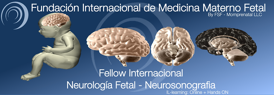 Captura de pantalla 2022-06-05 a las 10.07.43 a. m..png