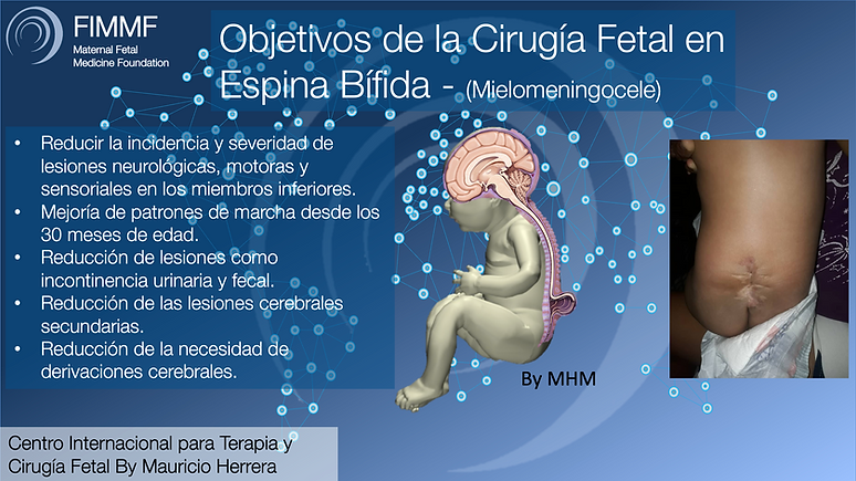 Screenshot 2023-04-30 at 11.02.05 PM.png