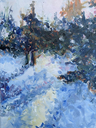 Winter Sun - $350