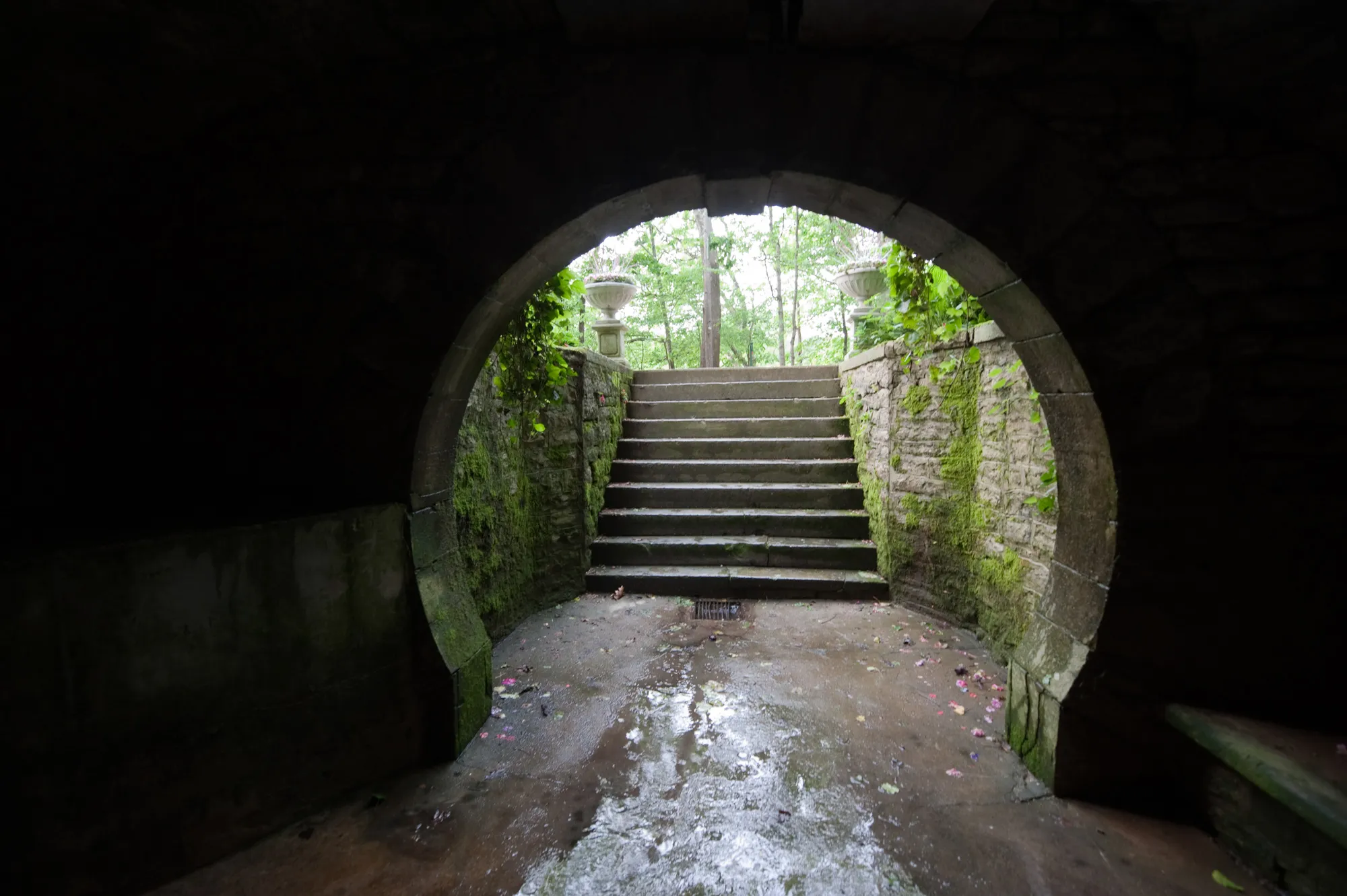 grottospring-1.webp