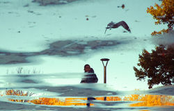 The Seagull and the Boy