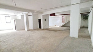 Basement: From Storage Room to Living Space – Everything You Need to Know