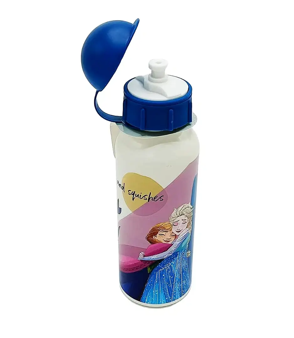 Miniature : GOURDE ALUMINIUM 520 ML FROZEN  REF 3232