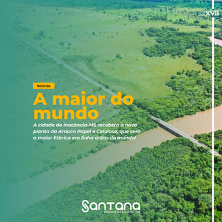 Arauco construirá a maior fábrica de Celulose do mundo no Brasil.