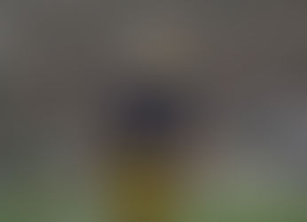 How Did They Pan Out? A Transfer Quarterback Retrospective